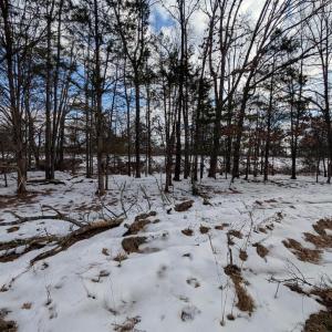 Photo #8 of RAPIDAN ROAD, RAPIDAN, VA 6.0 acres