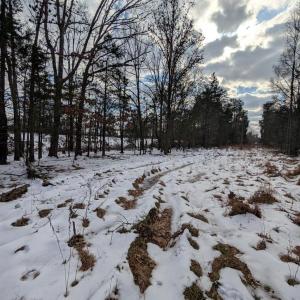 Photo #10 of RAPIDAN ROAD, RAPIDAN, VA 6.0 acres