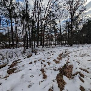 Photo #9 of RAPIDAN ROAD, RAPIDAN, VA 6.0 acres