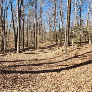 Photo #5 of TOWER RD, UNIONVILLE, VA 50.2 acres