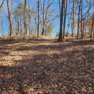 Photo #6 of TOWER RD, UNIONVILLE, VA 50.2 acres