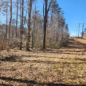 Photo #7 of TOWER RD, UNIONVILLE, VA 50.2 acres