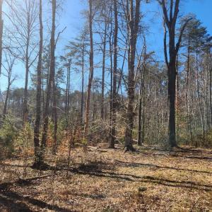 Photo #8 of TOWER RD, UNIONVILLE, VA 50.2 acres