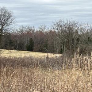 Photo #4 of 6485 S SEMINOLE TRAIL, ROCHELLE, VA 9.0 acres