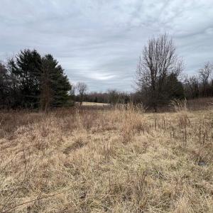 Photo #6 of 6485 S SEMINOLE TRAIL, ROCHELLE, VA 9.0 acres
