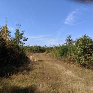 Photo #3 of 5947 COURTHOUSE RD, SPOTSYLVANIA, VA 628.8 acres