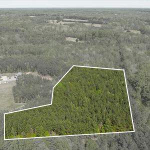 Photo #2 of LOG CABIN RD, BEAVERDAM, VA 5.0 acres