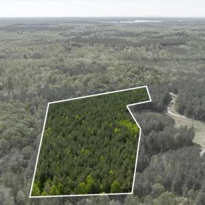 Photo #3 of LOG CABIN RD, BEAVERDAM, VA 5.0 acres