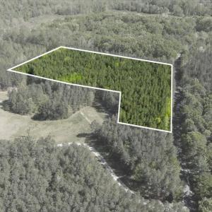 Photo #4 of LOG CABIN RD, BEAVERDAM, VA 5.0 acres