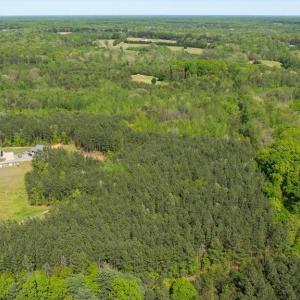 Photo #6 of LOG CABIN RD, BEAVERDAM, VA 5.0 acres
