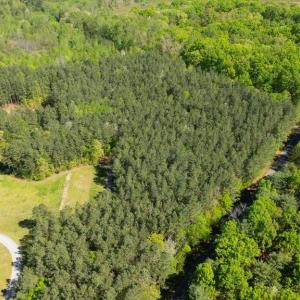 Photo #8 of LOG CABIN RD, BEAVERDAM, VA 5.0 acres