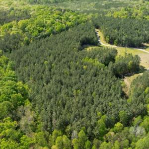 Photo #11 of LOG CABIN RD, BEAVERDAM, VA 5.0 acres