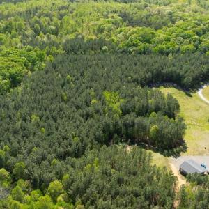 Photo #13 of LOG CABIN RD, BEAVERDAM, VA 5.0 acres