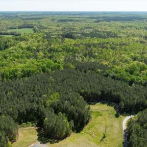 Photo #14 of LOG CABIN RD, BEAVERDAM, VA 5.0 acres