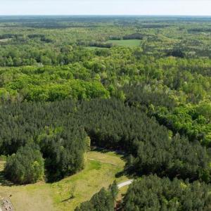 Photo #15 of LOG CABIN RD, BEAVERDAM, VA 5.0 acres