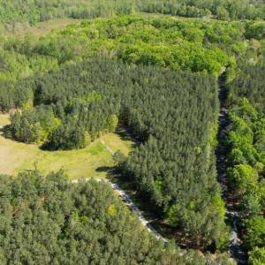 Photo #16 of LOG CABIN RD, BEAVERDAM, VA 5.0 acres