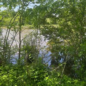 Photo #9 of LANDS END DR, ORANGE, VA 1.0 acres