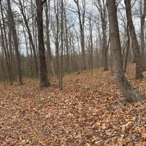 Photo #16 of ERNEST ROBINSON ROAD, MARSHALL, VA 5.6 acres