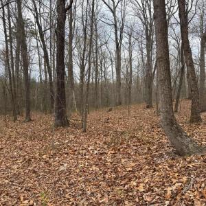 Photo #17 of ERNEST ROBINSON ROAD, MARSHALL, VA 5.6 acres