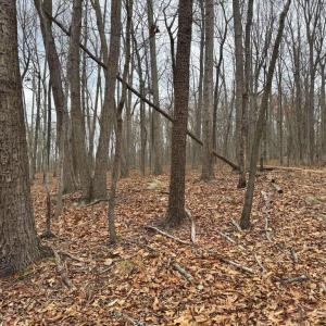 Photo #18 of ERNEST ROBINSON ROAD, MARSHALL, VA 5.6 acres