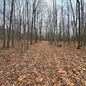 Photo #1 of ERNEST ROBINSON ROAD, MARSHALL, VA 5.6 acres