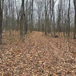 Photo #23 of ERNEST ROBINSON ROAD, MARSHALL, VA 5.6 acres