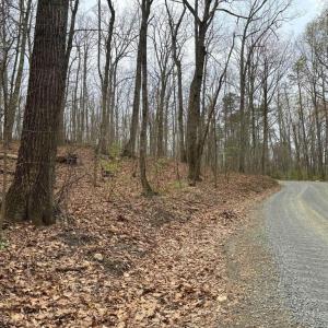 Photo #2 of ERNEST ROBINSON ROAD, MARSHALL, VA 5.6 acres