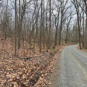 Photo #24 of ERNEST ROBINSON ROAD, MARSHALL, VA 5.6 acres