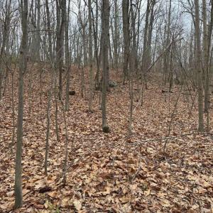 Photo #25 of ERNEST ROBINSON ROAD, MARSHALL, VA 5.6 acres