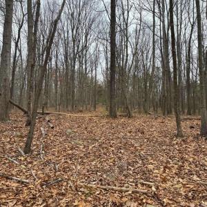 Photo #19 of ERNEST ROBINSON ROAD, MARSHALL, VA 5.6 acres
