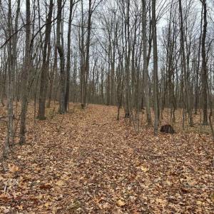 Photo #22 of ERNEST ROBINSON ROAD, MARSHALL, VA 5.6 acres