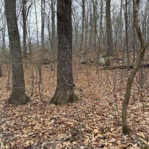 Photo #3 of ERNEST ROBINSON ROAD, MARSHALL, VA 5.6 acres