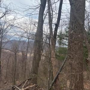 Photo #1 of REVENOOER, MADISON, VA 3.1 acres