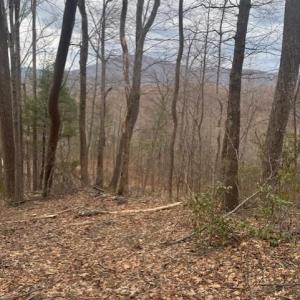 Photo #2 of REVENOOER, MADISON, VA 3.1 acres