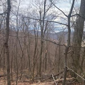 Photo #3 of REVENOOER, MADISON, VA 3.1 acres