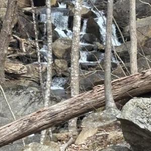 Photo #7 of REVENOOER, MADISON, VA 3.1 acres