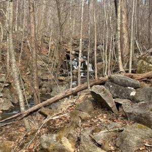 Photo #6 of REVENOOER, MADISON, VA 3.1 acres