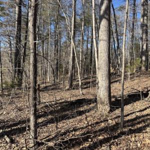 Photo #5 of DUET ROAD, MADISON, VA 5.1 acres