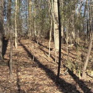 Photo #4 of DUET ROAD, MADISON, VA 5.1 acres