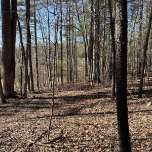 Photo #3 of DUET ROAD, MADISON, VA 5.1 acres