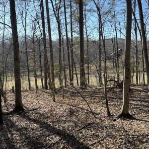 Photo #1 of DUET ROAD, MADISON, VA 5.1 acres