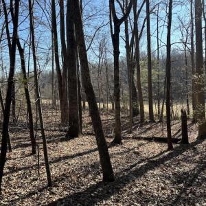 Photo #2 of DUET ROAD, MADISON, VA 5.1 acres