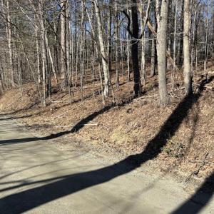Photo #6 of DUET ROAD, MADISON, VA 5.1 acres