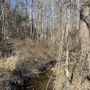Photo #7 of DUET ROAD, MADISON, VA 5.1 acres