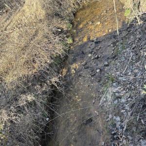 Photo #8 of DUET ROAD, MADISON, VA 5.1 acres