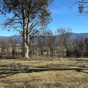 Photo #1 of MILL CREEK ROAD, LURAY, VA 1.9 acres