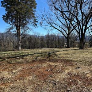 Photo #5 of MILL CREEK ROAD, LURAY, VA 1.9 acres