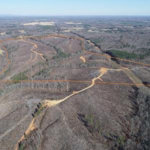 Photo #3 of PATTESON PLACE ROAD, SCOTTSVILLE, VA 148.6 acres