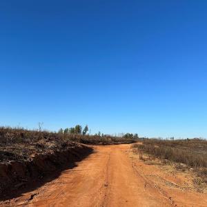 Photo #4 of PATTESON PLACE ROAD, SCOTTSVILLE, VA 148.6 acres