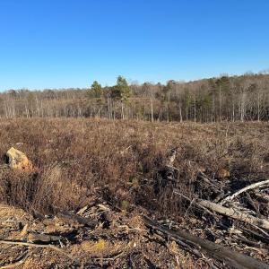 Photo #6 of PATTESON PLACE ROAD, SCOTTSVILLE, VA 148.6 acres